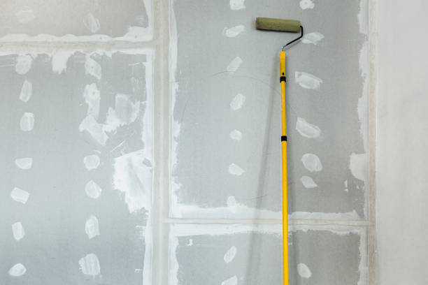 Best Drywall Sanding and Smoothing  in Cudahy, CA